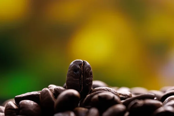 The light falls on the coffee beans. Coffee beans on the table.