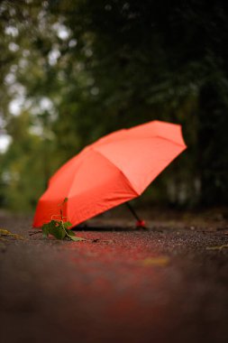 Sonbaharda kırmızı bir şemsiyeye karşı düşen bir yaprak. Sonbaharda kırmızı bir şemsiye.