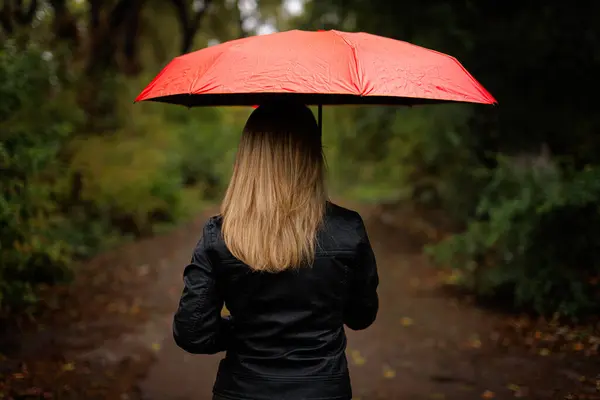 Siluet Seorang Gadis Dari Belakang Bawah Payung Sebuah Payung Merah Stok Gambar Bebas Royalti