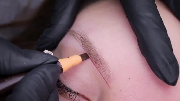 Kalıcı Makyöz Kaşların Yakınına Bir Kroki Çizer Kalıcı Makyaj Prosedürü — Stok video