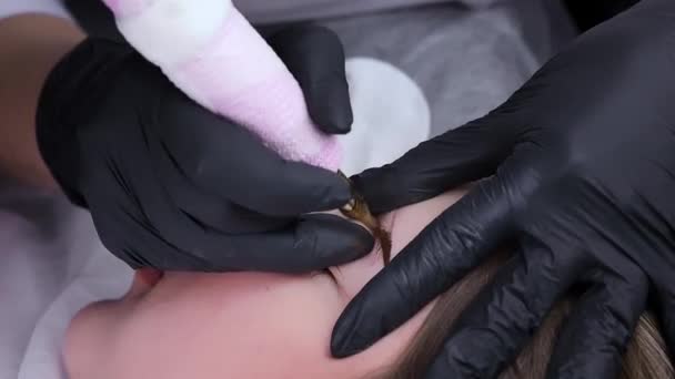 Maquilleur Permanent Remplit Pigment Injectant Dans Peau Des Sourcils Avec — Video