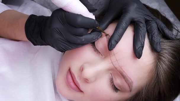 Vista Superior Del Procedimiento Permanente Maquillaje Cejas Realizado Por Maestro — Vídeo de stock