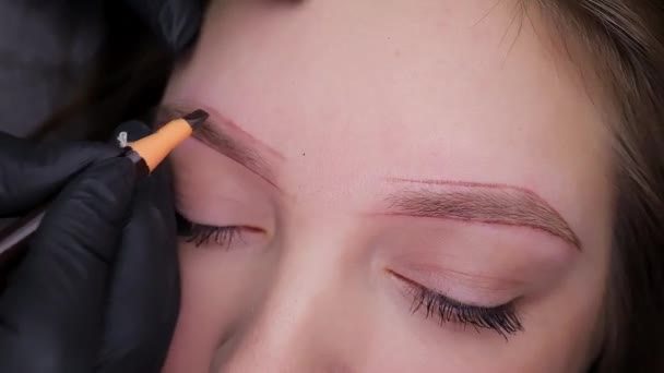 Kalıcı Makyaj Sanatçısı Kalıcı Makyajı Düzeltmek Için Kaşların Dış Hatlarını — Stok video