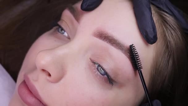 Trabajo Realizado Maquillaje Permanente Las Cejas Maestro Cepilla Los Pelos — Vídeos de Stock