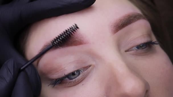 Close Sobrancelhas Meninas Após Procedimento Maquiagem Permanente Mestre Escova Cabelos — Vídeo de Stock
