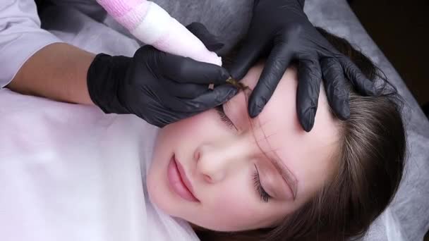 Belle Brune Sur Procédure Permanente Maquillage Des Sourcils Procédure Permanente — Video