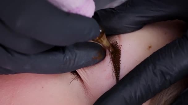 Macro Shot Maquiagem Permanente Onde Mestre Aplica Pigmento Nas Caudas — Vídeo de Stock