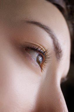Makyaj malzemelerinin kalıcı kirpiklerine yakından bakın. PMU kirpikleri, kalıcı göz makyajı.