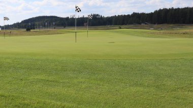 Yeşil bir alanda golf sahası