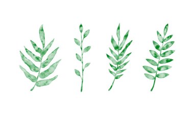 suluboya tarzında yaprak çizimi