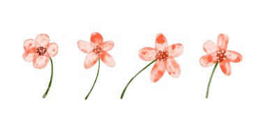 Suluboya tarzında kırmızı çiçek çizimleri