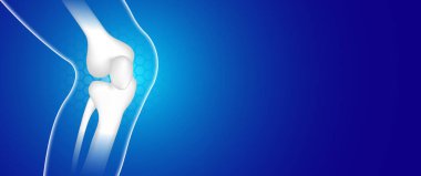 İnsanlar için sağlıklı kemik tasarımı, tıp, klinik, ortopedi hastanesi için uygun.