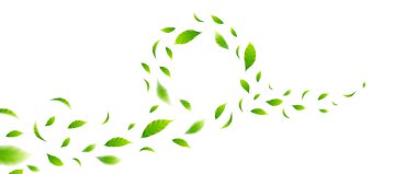 Uçan yapraklar tasarımı, tasarım ögeleri için uygun