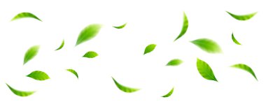 tasarım ögeleri için beyaz arkaplanda uçan yapraklar