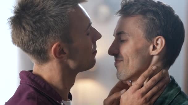 若い幸せな同性カップルのショットを静かにお互いにキスを閉じます 高品質4K映像 — ストック動画