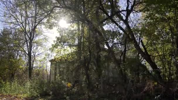 Egy Hátborzongató Öreg Elhagyatott Ház Erdőben Egy Kísérteties Öreg Elhagyatott — Stock videók