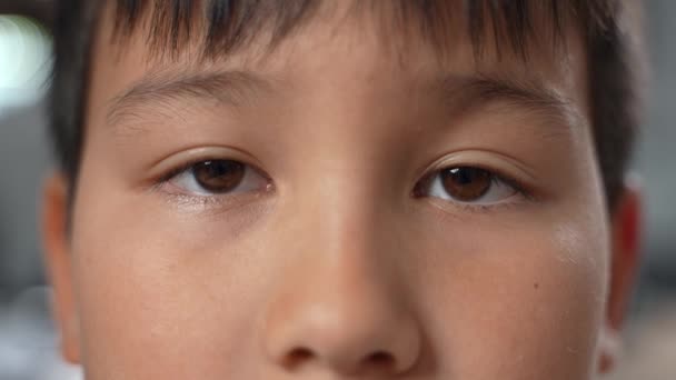 Großaufnahme Eines Niedlichen Jungen Asiatischen Jungen Mit Blinkenden Schönen Dunklen — Stockvideo