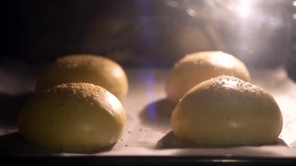 Timelapse Van Hamburger Broodjes Met Sesamzaad Bakken Hete Oven Het — Stockvideo