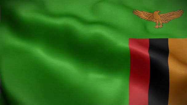 Σημαία Της Ζάμπια Κυματίζει Στον Άνεμο — Αρχείο Βίντεο