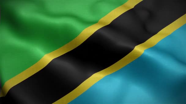 Σημαία Της Τανζανίας Κυματίζει Στον Άνεμο — Αρχείο Βίντεο