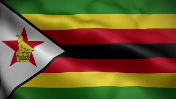 Флаг Замбии Развевающийся Ветру — стоковое видео