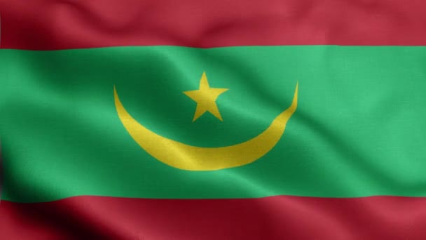 風になびくモーリタニアの旗 — ストック動画