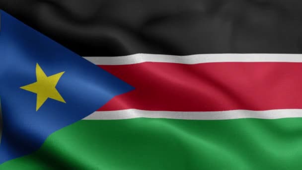 Güney Sudan Bayrağı Rüzgarda Dalgalanıyor — Stok video