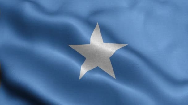 Drapeau Somalie Flottant Dans Vent — Video