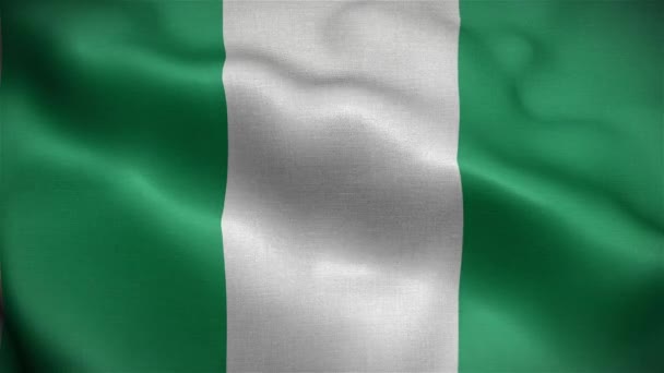 Nijerya Bayrağı Rüzgarda Dalgalanan Nijerya Bayrağının Rüzgarda Dalgalanan Animasyonunda Dalgalanıyor — Stok video