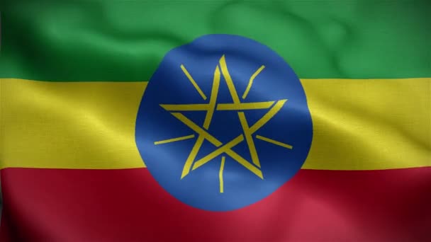 Etiyopya Bayrağı Rüzgarda Dalgalanıyor — Stok video