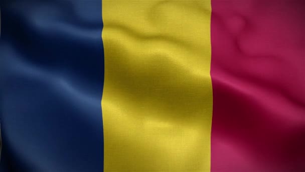 Bandera Chad Ondeando Viento — Vídeos de Stock