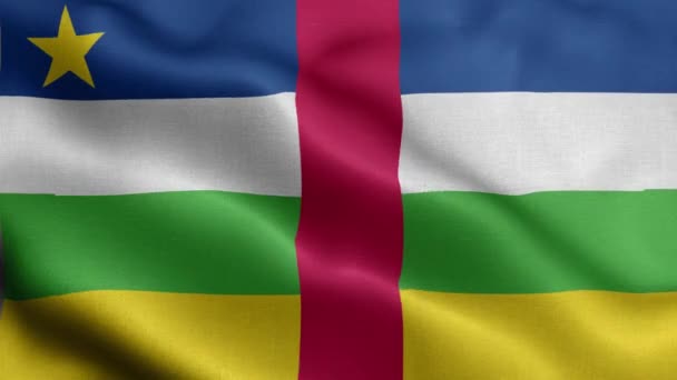Σημαία Της Κεντροαφρικανικής Δημοκρατίας Που Κυματίζει Στον Άνεμο — Αρχείο Βίντεο
