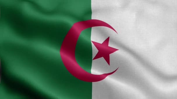 Drapeau Argelia Flottant Dans Vent — Video