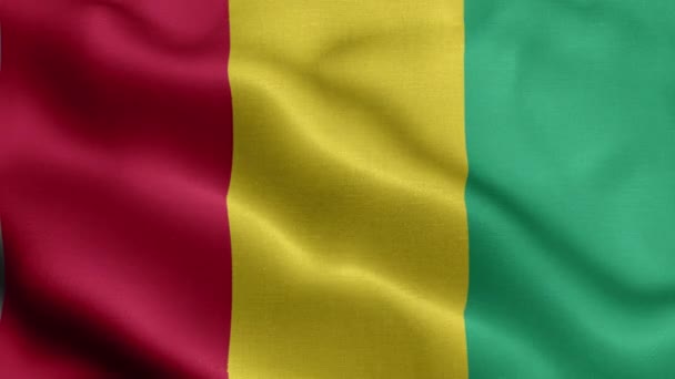 Прапори Гвінеї Пурхають Вітрі — стокове відео