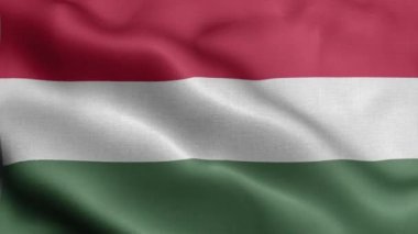 Rüzgarda dalgalanan Macaristan bayrağı.