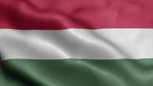 Bandeira Hungria Tremulando Vento — Vídeo de Stock