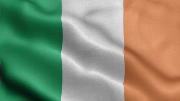 Bandeira Irlanda Tremer Vento — Vídeo de Stock