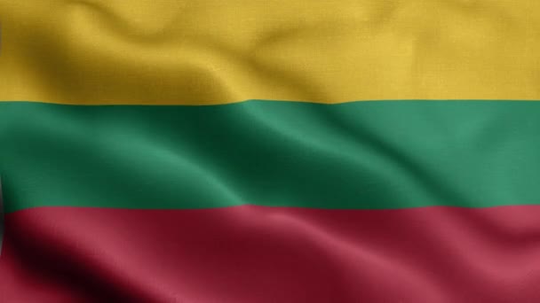 Bandera Lituania Ondeando Viento — Vídeos de Stock