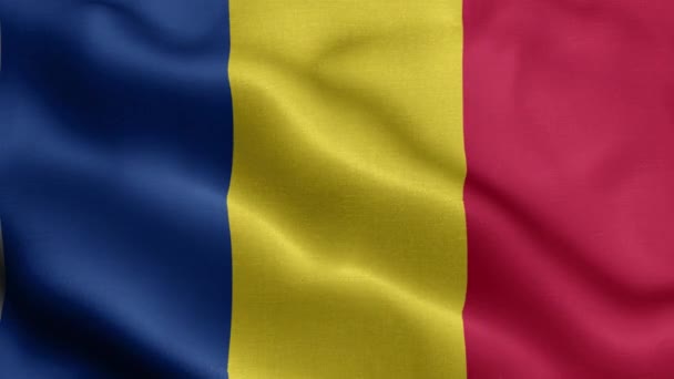 Bandeira Roménia Tremer Vento — Vídeo de Stock