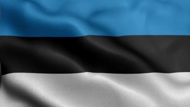 Flagga Estland Fladdrar Vinden — Stockvideo