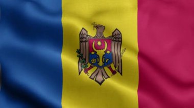 Rüzgarda dalgalanan Maldova bayrağı.