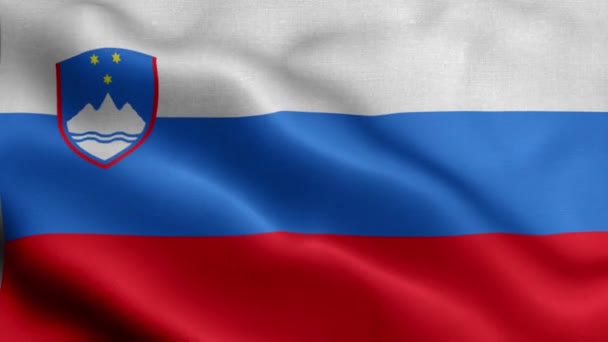 Bandera Eslovenia Ondeando Viento — Vídeos de Stock