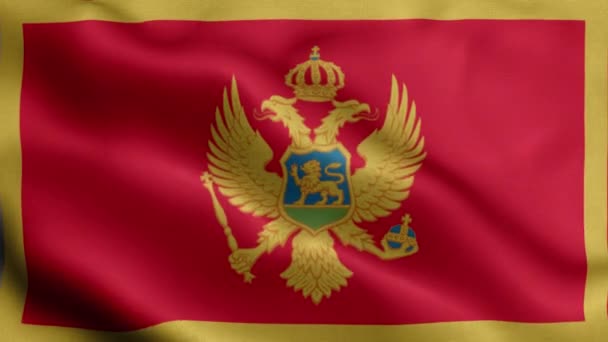 Bandera Montenegro Ondeando Viento — Vídeos de Stock