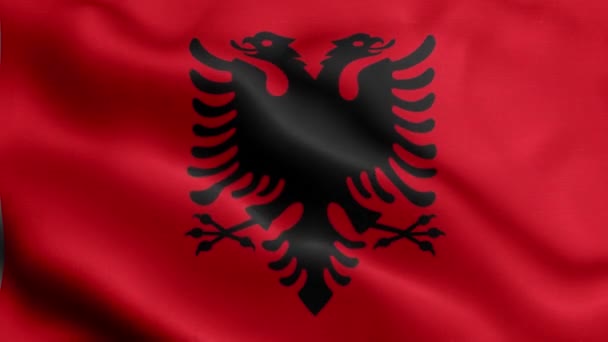 Flag Albania Fluttering Wind — Stock Video