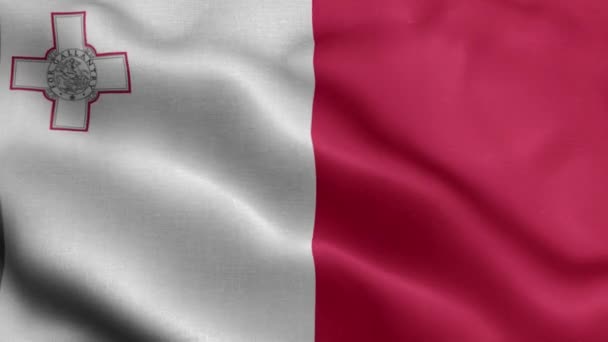 Flag Malta Fluttering Wind — Stock Video