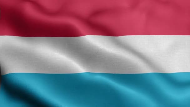Bandeira Luxemburgo Tremer Vento — Vídeo de Stock