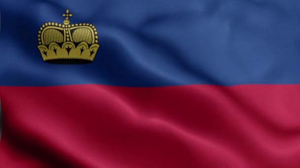 Bandeira Liechtenstein Agitando Vento — Vídeo de Stock