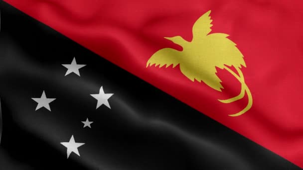 Bandeira Papua Nova Guiné Agitando Vento — Vídeo de Stock