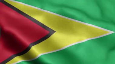 Rüzgarda dalgalanan Guyana bayrağı.