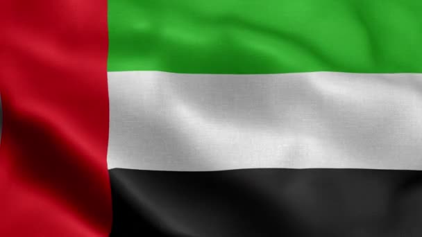 Bandera Emiratos Árabes Unidos Ondeando Viento Animación — Vídeos de Stock